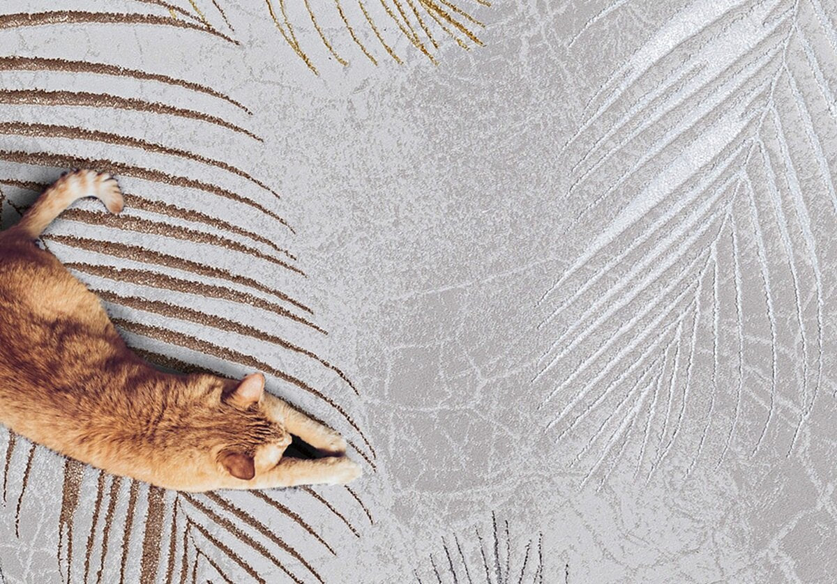 Karpet24 Modern Vloerkleed Creation - Laagpolig met Hoog-Laag Effect, Grijs — bovenaanzicht